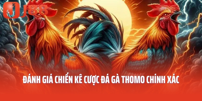 Đánh giá chiến kê cược đá gà thomo chính xác